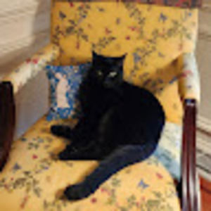 Meet your Posher, Donna